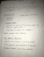 Human Evolution & Survival Week 3-4 notes