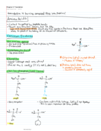 Biochemistry Chapter 2 Notes: Translation