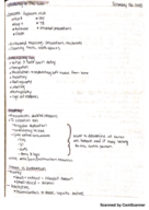 Forensic Anthropology Week 3 Notes