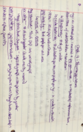 Week 4 Notes