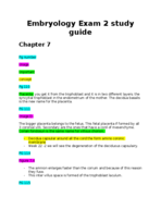 study guide exam 2 embryology