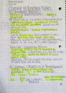 CHEM 1220 Week 6 Reading Notes - Chapter 19