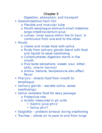 Chapter 3 Notes