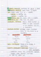 Ch 2. Atoms, Molecules, & Ions