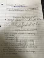 Biology 101, Week 6 Notes 