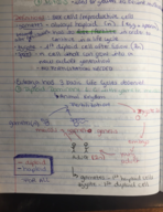 BIO 1802 - End Chapter 27 and Beginning Chapter 28
