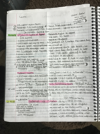 Weekly Notes 