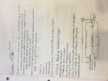ISS 310 Week 3 Notes