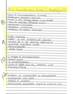 Bio Foundations Exam 2 Studyguide