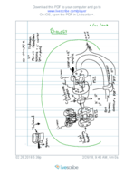 BIO MON FEB 26 LEC LIVESCRIBE 