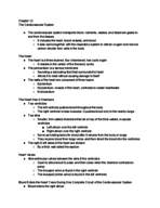 Week 8 Biology Notes- The Cardiovascular system
