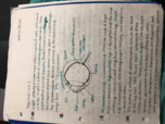 Sensation and Perception Psychology Exam 2 Notes