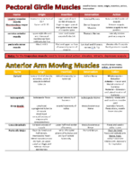 Origin, Insertion, Action and innervation of Appendicular Skeleton