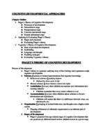 Cognitive Developmental Approaches