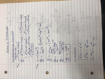 Exam 1