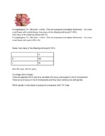 Bio 104