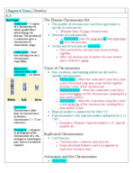 Chapter 6 notes - Genetics