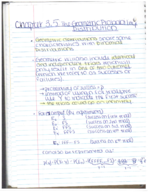 PRV Week 7 Notes