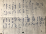 Week 7 Notes