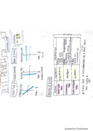 Study Concepts for Unit 2