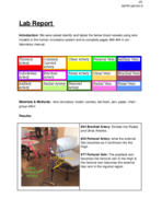 Unit 6 Lab Report for A&P II (Blood Vessel) 
