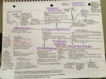 MCB 450 Exam 2