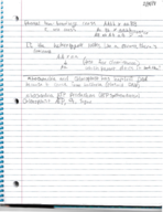 Genetics Notes Week 3