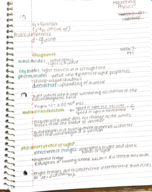 Week 8 notes