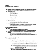 Week 8 Biology Respiratory System Notes