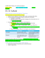 COMM 305- Ch. 6- Intercultural Communication 