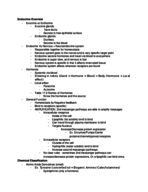 Anatomy Final 1