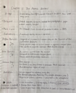 Chapter 5: The Atomic Nucleus 