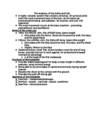 week 5 notes kinesiology