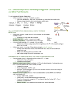 BIO 161- Week 5 Class Notes