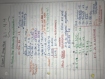 exam 2 notes and practice questions 