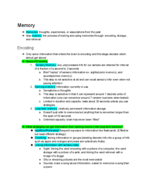 Psych 101 exam 3