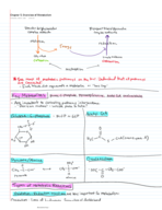 General Biochemistry Chapter 5 Overview of Metabolism