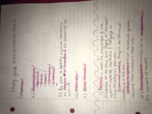 Intro to Theatre Study Guide #2