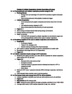 Bio Study Guide Exam 3