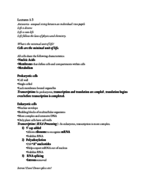 Lectures 1-3 Notes