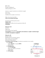 Exam 1 Review