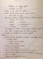 Macro Econ study guide