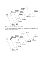 History of Life Study Guide