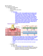 ANS 201, Notes