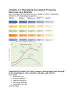 Marketing Chapters 10-11