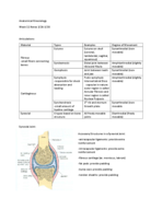 Anatomical Kinesiology Week 11 Notes