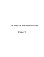 Chapter 15