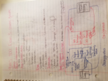 BMS Exam 3 Study Guide