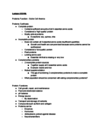 exam study guide 2