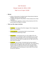 Cell Division Study Guide